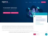 IT Advisory Services | Agnos - Miami, FL