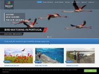 Algarve Bird-watching