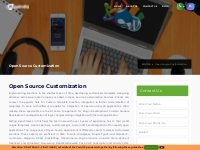 Open Source Customization Services in India   App India