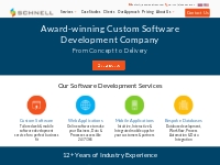 Bespoke Software Development Company - Custom Software Company | Schne