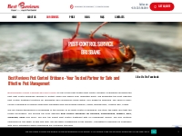 Pest Control Brisbane | Best Pest Control Services Brisbane