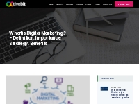 What is Digital Marketing ? - Definition, Importance, Strategy, Benefi