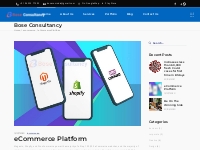 eCommerce Platform - Bose Consultancy