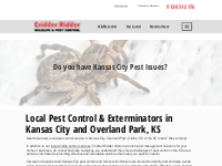 Pest Control in Kansas City   Overland Park- KC Exterminators