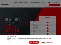 CrowdStrike Falcon® Enterprise: Endpoint Breach Prevention