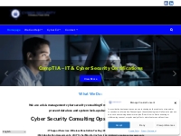 Cyber Security Consulting Ops | IT And Cyber Risk Consultants