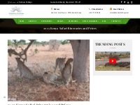  Best 2023 and 2024 Kenya Safari Itineraries and Prices