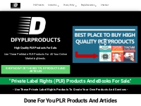 Done For You PLR Products - Best PLR Products - PLR Products For Sale 