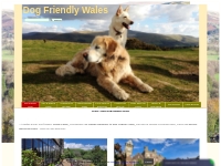 Dog Friendly B B Hotel  in South Wales - Dog Friendly Wales | Dog Frie