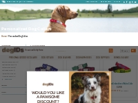 Personalized Dog Collars: Crafted with Experience | dogIDs