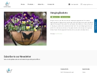 Hanging Basket Plant Pots | Hanging Baskets Online | EHG 360