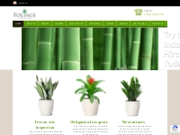 Indoor Plants Hire Melbourne | Office Plant Hire Melbourne