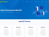 SSD VPS Hosting with DDoS Protection - Virtual Linux Server Hosting - 