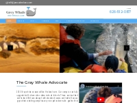 The Gray Whale Advocate - Gray Whale Watching