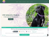 CBD Oil for Dogs | Pet CBD | Dog CBD | CBD for Dogs