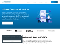 Software Development Services   Custom Solutions