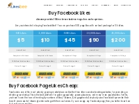 Buy Facebook Likes | 100% Real Page Likes - LikesBee