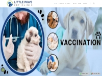 Little Paws Vet Clinic | +919560816099 | Pet Clinic in Chhattarpur, Pe