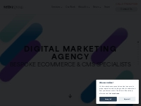 Digital Marketing Agency | Bespoke Ecommerce   CMS | Netbiz Group