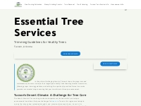 Tucson Tree Service | #1 Best Tree Trimming | Tree Pruning