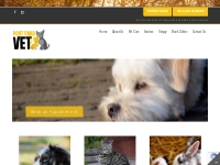 Adelaide Vet Clinic - Cat, Dog   Small Pets Veterinarians in Adelaide