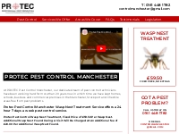 Pest Control Manchester | Wasp Nest 59.50, Mice, Rats, Fleas, Bed Bug