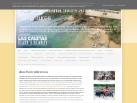 Puerto Vallarta tours and adventures : About Puerto Vallarta Tours