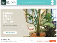 Reliable Indoor Plant Hire Sydney | The Plant Man