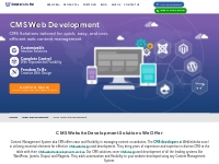 CMS Web Development Services in Delhi | CMS Website Development Compan