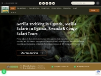 Gorilla Trekking in Uganda, Gorilla Safaris, Uganda Gorilla Tours, Saf