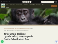 3 Day Gorilla Trekking Uganda, Gorilla Safari Bwindi Tour 3 Days