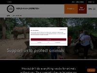 Support us to protect animals | World Animal Protection