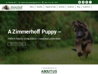 German Shepherd Puppies Oregon - Zimmerhoff German Shepherds